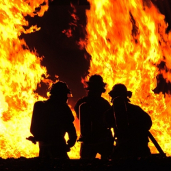 ВИДЕО -Бишкектин түштүк тарабында өрт чыкты