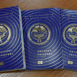 Жаңы паспорт менен виза алуу кыйла жеңилдейт