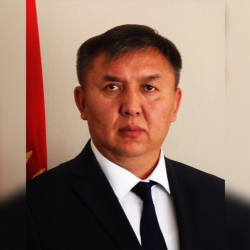 Батырканов: «Жаңы паспорт АКШнын «кара тизмесинен» чыгууга жол ачат»