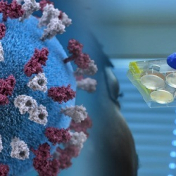 Вирустун кооптуу жаңы түрү 4 өлкөдөн табылды