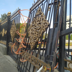 Батыштын акчасы үчүн жанын сата турган адамдар Ак үйдүн алдында «педерастардын» жыйынын өткөзөбүз дешип арыз берет