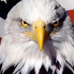 Медербек Коргонбаева, политолог: 