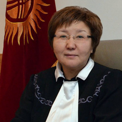 Жогорку соттун төрайымына кылмыш иши козголду