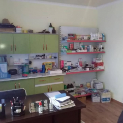 СҮРӨТ - Кызыл-Дыйкан айылында заманбап ветеринардык сервис ачылды