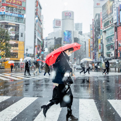 Япония чет элдик жарандарга виза берүүнү токтотту