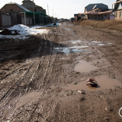 2021- жылы жаңы конуштарды өнүктүрүүгө басым жасалат