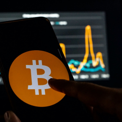 Курс биткоина обновил исторический максимум