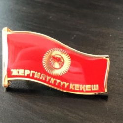 Айрым депутаттардын ыйгарым укуктары мөөнөтүнөн мурда токтотулду