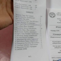 Түштүк-Сахалинде добуш берүү аягына чыкты