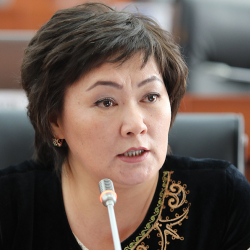 Кадырбековго Жылдыз Мусабекованы наамынан ажыратуу боюнча арыз келип түштү