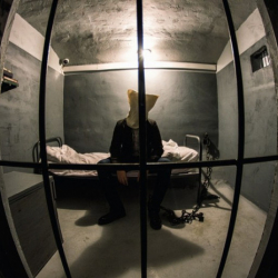 Шумдугуң кур! 