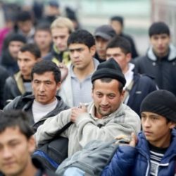 Эл аралык мигранттар дүйнө калкынын дээрлик 3,6 пайызын түзөт