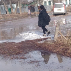 Жайыл районунун Новониколаевка айылын суу каптап жатат