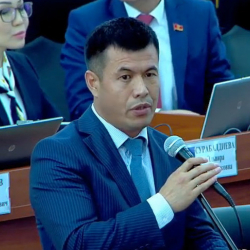 Бакиров жоолукка каршы чыккан мугалимге чара көрүүнү талап кылды