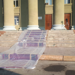 Социалдык тармакта өкмөт үйүнүн алдындагы кызыл килем талкууга алынууда