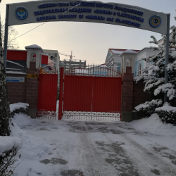 «Манас» жана Чыңгыз Айтматов академиясы ТүркСОЙ менен кызматташат