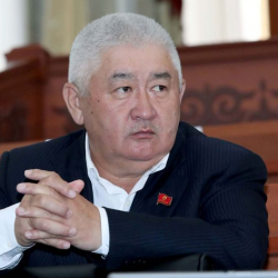 «Вы папенькин сын?» Депутат ЖК задал каверзные вопросы кандидату в премьеры