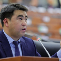 Жанар Акаев: 