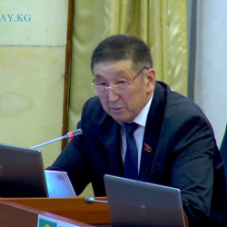 В парламенте предлагают создать совет по гражданской и муниципальной службе