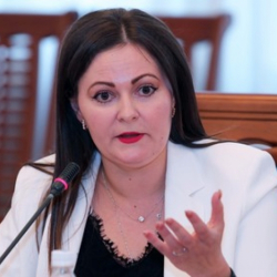 Депутат: Сурабалдиева, Токтогазиевдерди ыңгайсыздык жаратпасын деп кошкон жоксуңарбы?
