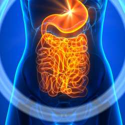 Окумуштуулар ичеги рагынын жаңы белгилерин аныкташты