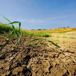 Прокуратуранын көзөмөлүнүн негизинде жетим балдар жер тилкелерге ээ болушту