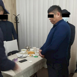 Пара талап кылуу фактысы боюнча ИИМдин улук тергөөчүсү кармалды