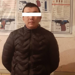 Кара-Балтада мыйзамсыз курал алып жүргөн жаран кармалды