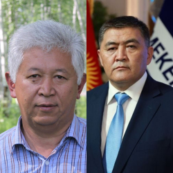 Кыяз Молдокасымов: «Ордо оюндары Камчыкенин жүрөгүн ооруттубу?»