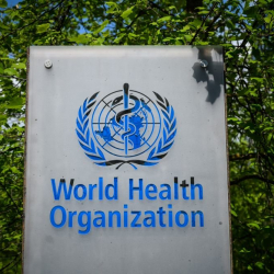 ДССУнун эксперттери COVID-19 эпидемиясынын башталышынын себебин так аныктай алышкан жок