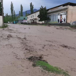 Аксыда турак үйлөрдүн короолорун суу каптады