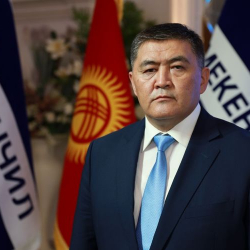 Камчыбек Ташиевдин Германиядагы операциясы ийгиликтүү өттү