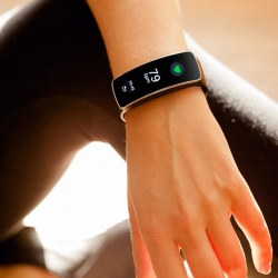 Мэрия: 8-мартка карата жарыяланган 500 миң сомдук тендер жокко чыкты