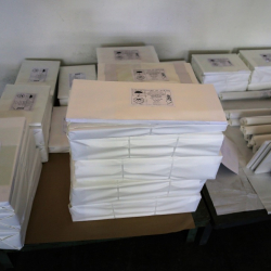 Местные выборы. ЦИК утвердит текст избирательного бюллетеня до 22 марта