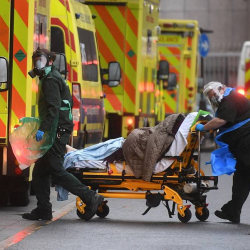 Адис: Коронавирустун «британиялык» штаммы өлүмгө алып келет