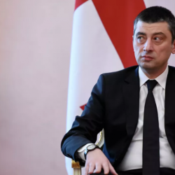 Грузиянын премьер-министри отставкага кетет