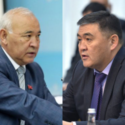 Ташиев депутат Жумалиевди УКМК кармаганда эмне дегенин айтып берди