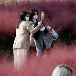 Вирусолог жазында коронавирус боюнча кырдаал кандай болорун боолголоду