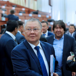 Мүмкүнчүлүгү чектелген балдардын ата-энелери Токон Мамытов арызданышты