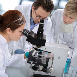 Адамдын ичегисинен вирустун 140 миң түрү табылды