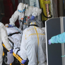 Дүйнөдө 2 миллион 465 миң 846 адам илдеттен каза болду