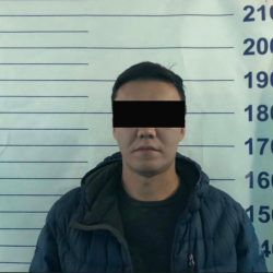 В Бишкеке задержали мужчину, ударившего прохожего в Ореховой роще