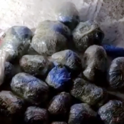 ВИДЕО - В Бишкеке криминальная милиция выявила канал поставки наркотиков