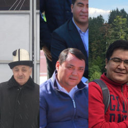 Калдарбек Койлубайтегин: «Алинин жомогундагы 700 миллион бюджеттин каражаты эмес, анын Кыргызстанга таптакыр тиешеси жок»