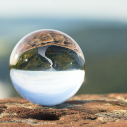 COVID-19: Дүйнөдө бир күндө 6 миң адам көз жумду