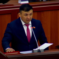 Жогорку Кеңешке жаңы депутат келди