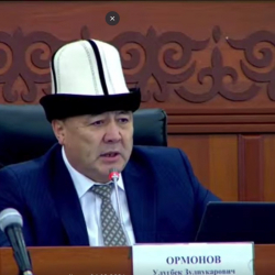 Улугбек Ормонов: «Ак калпак күнүнө карата иш-чара уюштурган активисттерди кызматтарга тартуу керек»