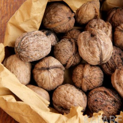 2020-жылы Кыргызстан 6 миң тонна грек жаңгагын экспорттоду