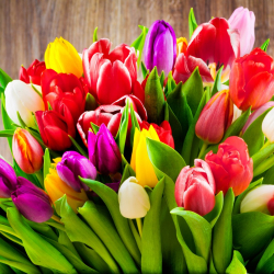 Эксперты раскрыли смысл языка цветов перед 8 марта