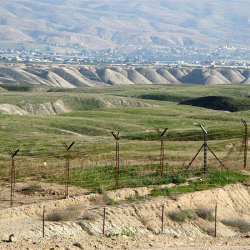 Чек арадан мыйзамсыз өтүүгө аракет кылган жаран кармалды